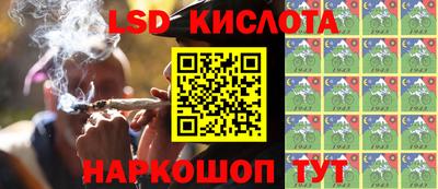 крисы Гай