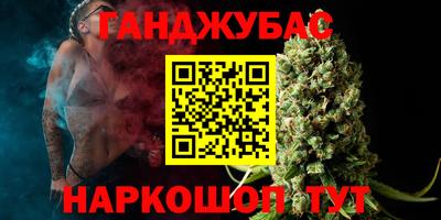 крисы Гай