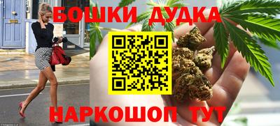 крисы Гай