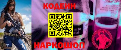 крисы Гай