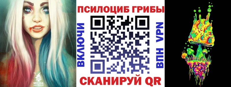 Галлюциногенные грибы Psilocybine cubensis Партизанск