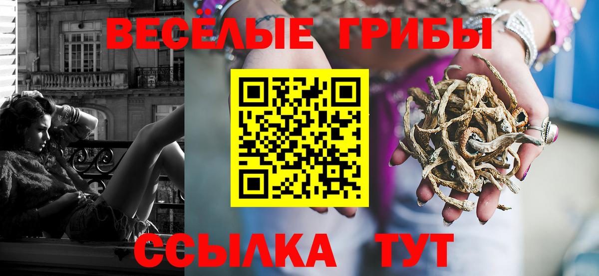 Галлюциногенные грибы Cubensis  Вход с VPN  Псилоцибиновые грибы Magic Shrooms  Партизанск 